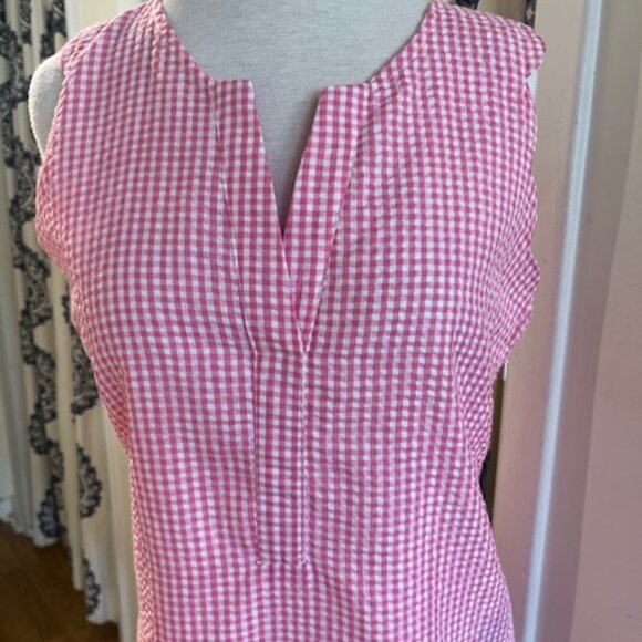 Duffield Lane Cassidy Shift Dress: Raspberry Gingham - Picture 3 of 7